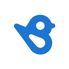 Birdeye Logo
